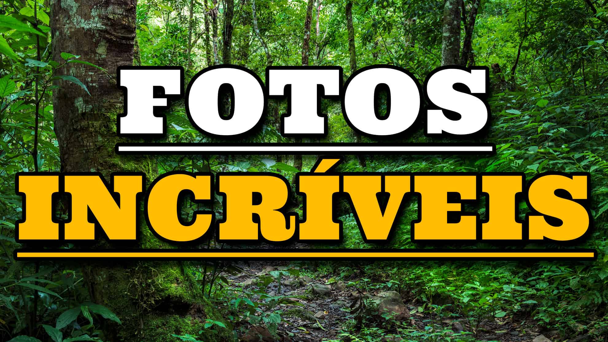 como-fotografar-melhor